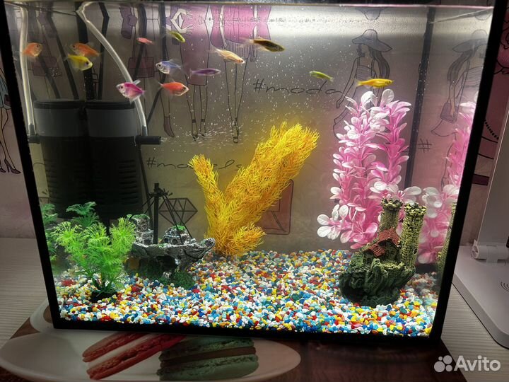 Аквариум с рыбками
