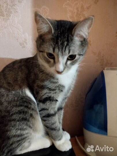 Европейская