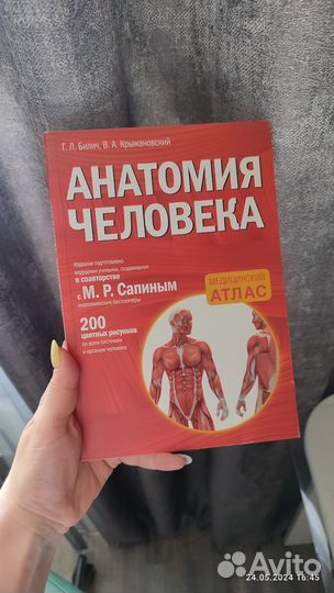 Анатомия человека медицинский атлас