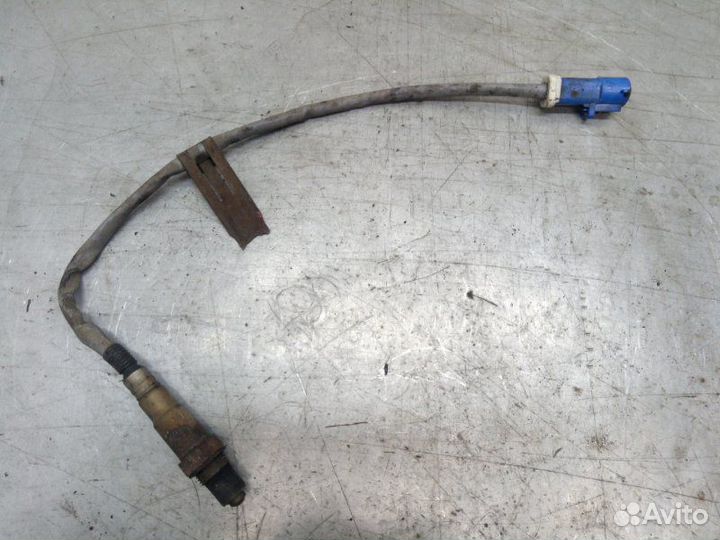 Датчик кислородный задний Ford C-Max универсал 1