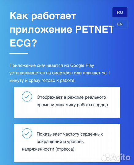 Экг флешка для животных