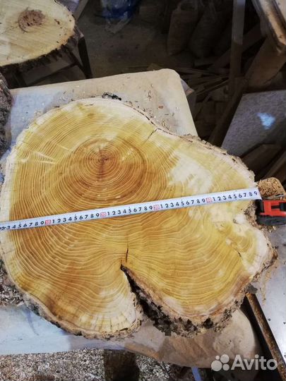 Спилы абрикоса,черешни и щелковици