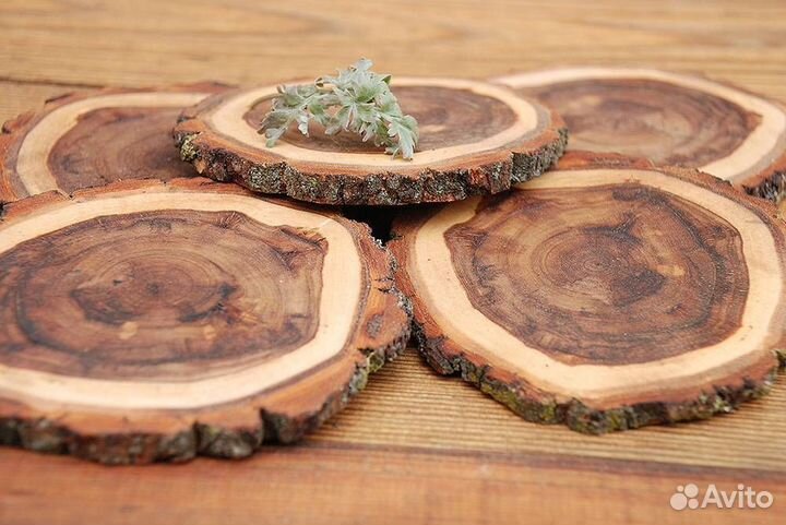 Торцевые спилы из дуба