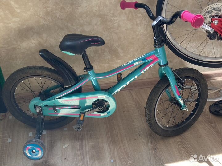 Велосипед Focus rookie