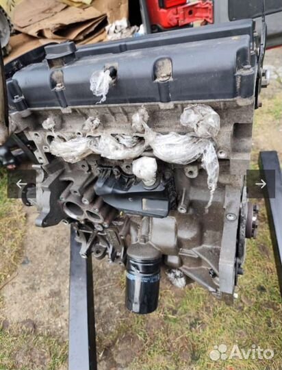 Двигатель Ford Focus II hwdb