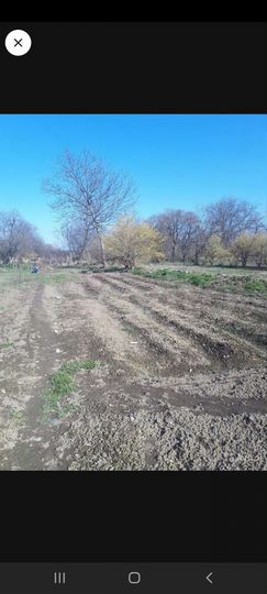 Участок 18,5 сот. (ИЖС)