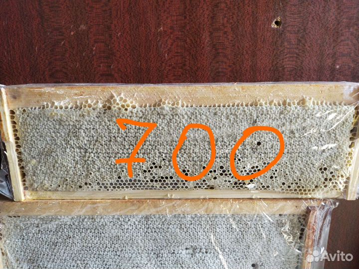 Мед в сотах