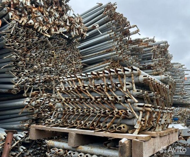 Клиновые леса