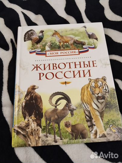 Детская энциклопедия Животные России