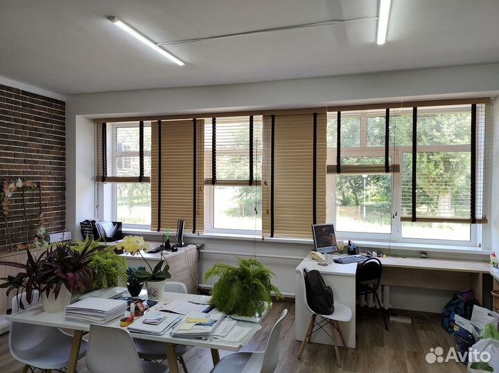 Жалюзи горизонтальные деревянные 50мм