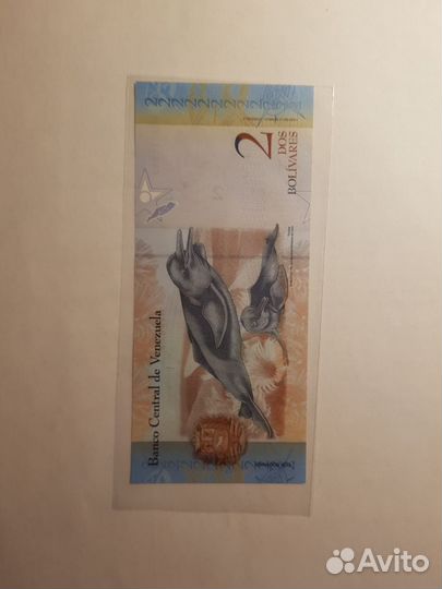 Бакноты Венисуэлы