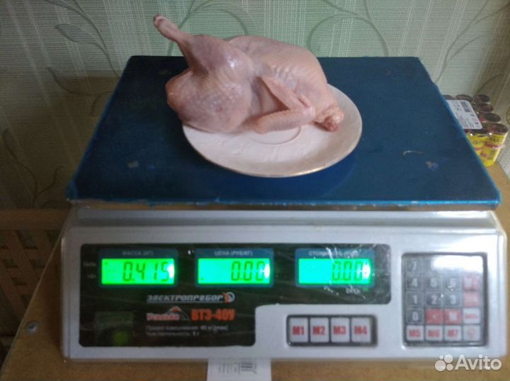 Перепела любого возраста, инкубация