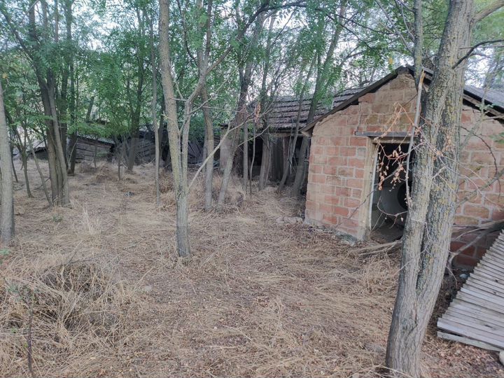 Дом 50,9 м² на участке 43 сот.