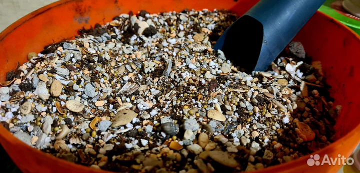 Грунт для кактусов, суккулентов