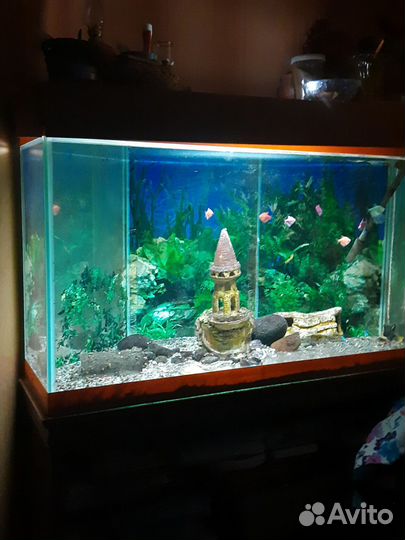 Аквариум с тумбой