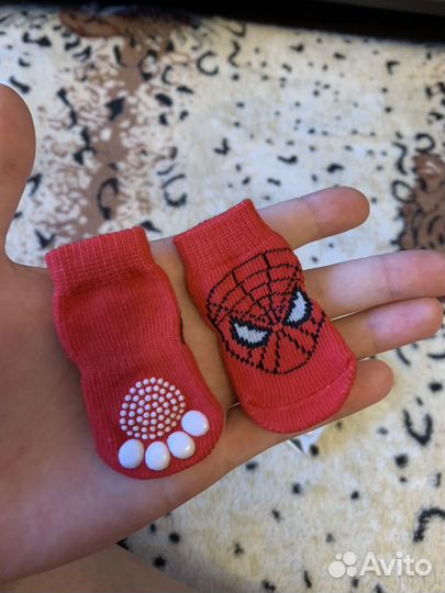 Носки для собак