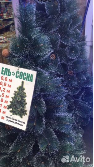 Ель Сосна с шишечками и ягодками