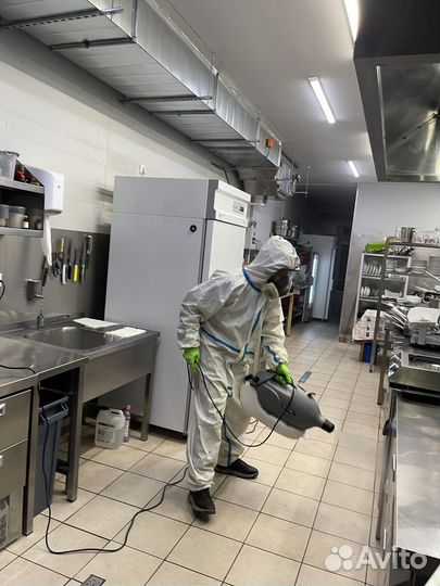 Уничтожение клопов, тараканов, мышей