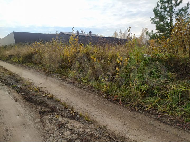 Участок 10 сот. (СНТ, ДНП)