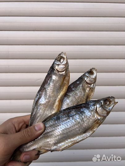 Вобла вяленая сушенная