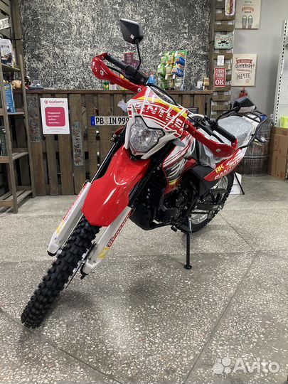 Racer RC300-GY8X Phanter