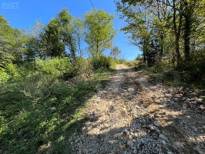 Участок 5,6 сот. (СНТ, ДНП)