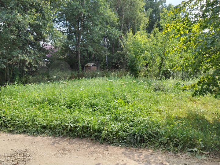 Участок 10 сот. (СНТ, ДНП)