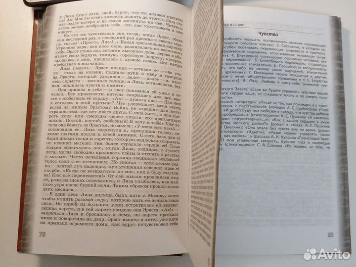 Литература 8 класс 1 часть