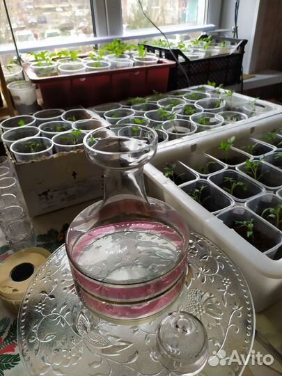 Большой винтажный графин со стаканами