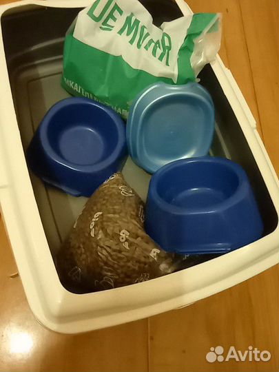 Лоток для кошек