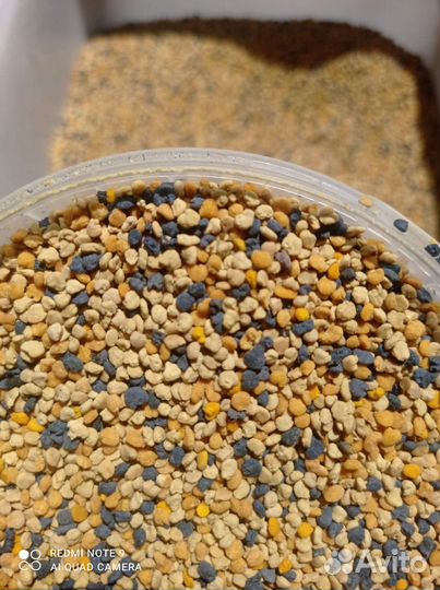 Перга,пыльца,прополис