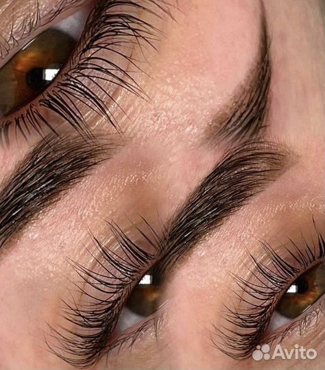 Ресницы и брови