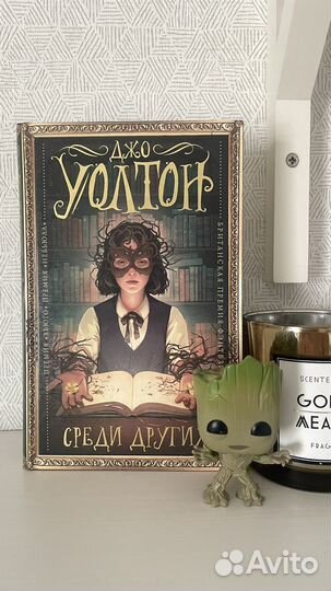 Среди других книга
