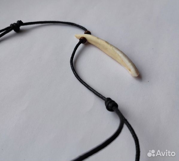 Клык кабана