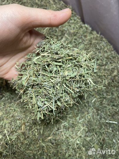 Чабрец (тимьян) сушенный