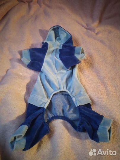 Комбинезон для маленькой собаки