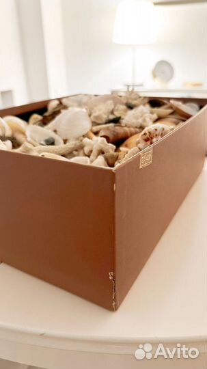 Коробка ракушек