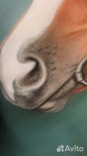 Интерьерная картина Лошадь. Акрил