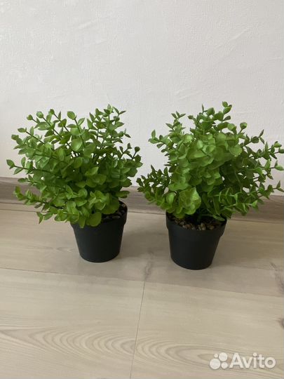 Новые искусственные растения в горшках