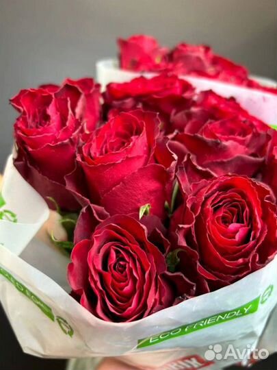 Роза одноголовая Опт