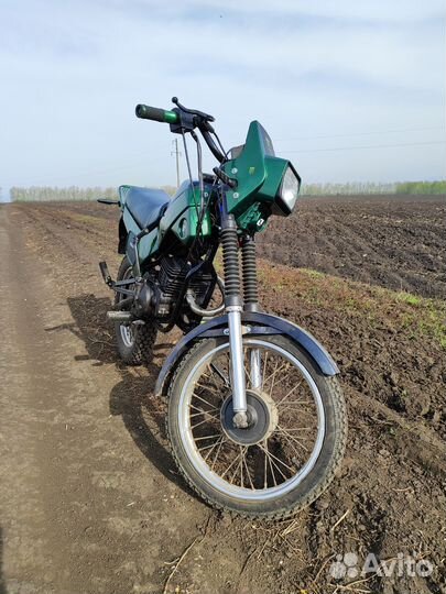 Зид Пилот 50