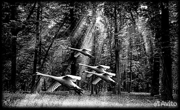 Psd шаблоны гравировки для похоронных памятников