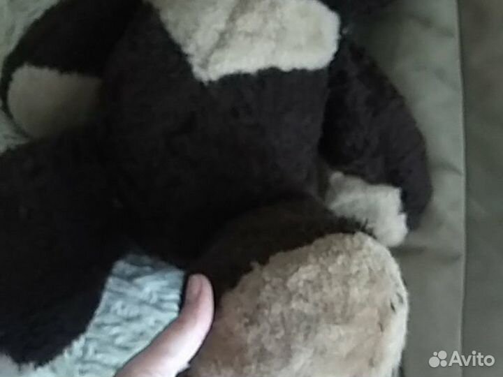 Медведь опилочный