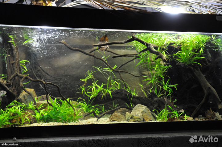 Обслуживание, чистка аквариума