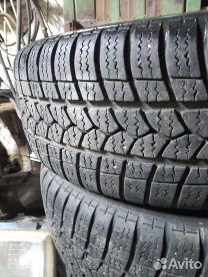 Tigar Winter 185/60 R14