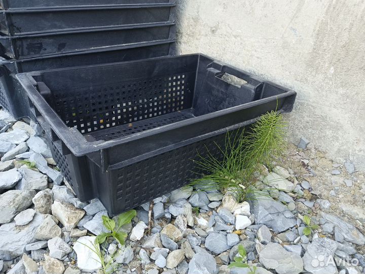 Ящик пластиковый