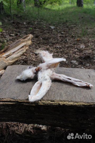 Натуральные лакомства для собак