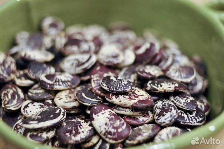 Семена Лимской мраморной фасоли для посадки