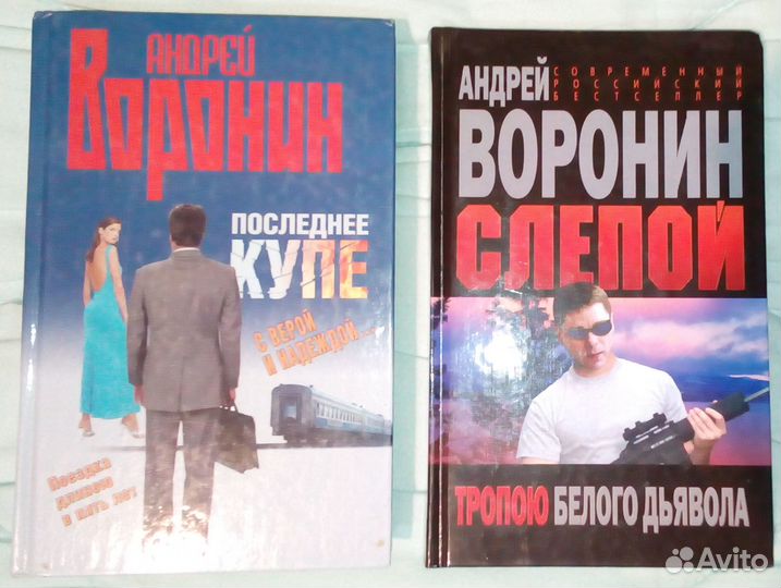 Андрей Воронин. Слепой. Пророк 24 книги