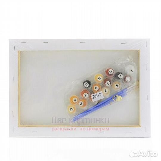 Картина по номерам 20x30